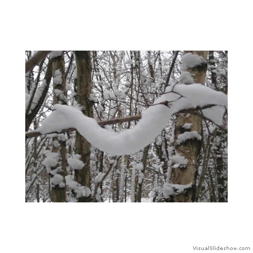 Naturally occuring snow sculpture400px