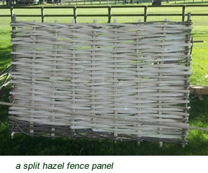 HAzel Fence Panel